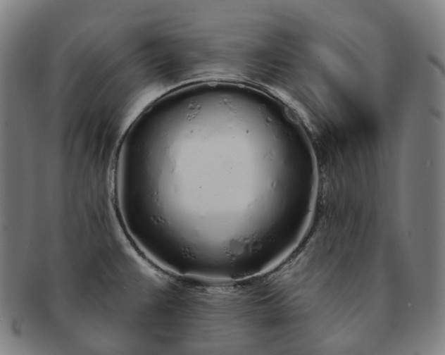 X0000091311383200708241104