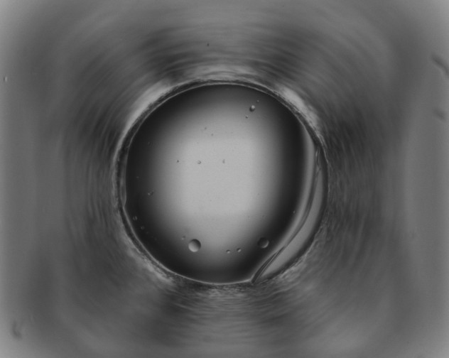 X0000091311384200708241104