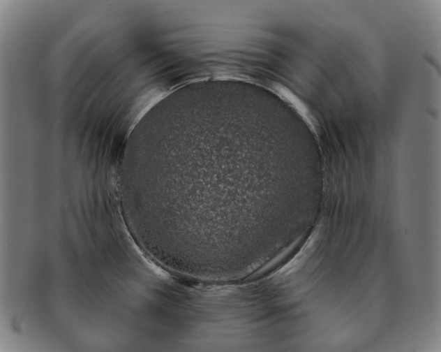 X0000091311385200708241104