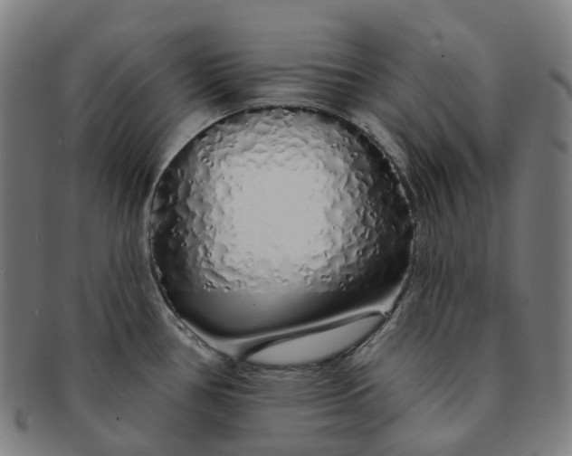 X0000091311386200708241104