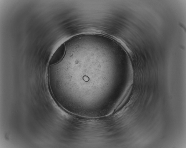 X0000091311387200708241104