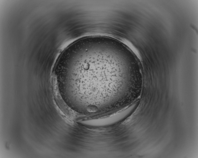 X0000091311388200708241104