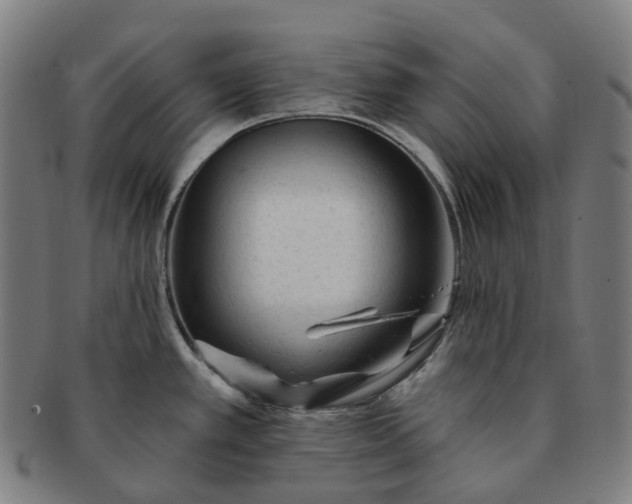 X0000091311389200708241104