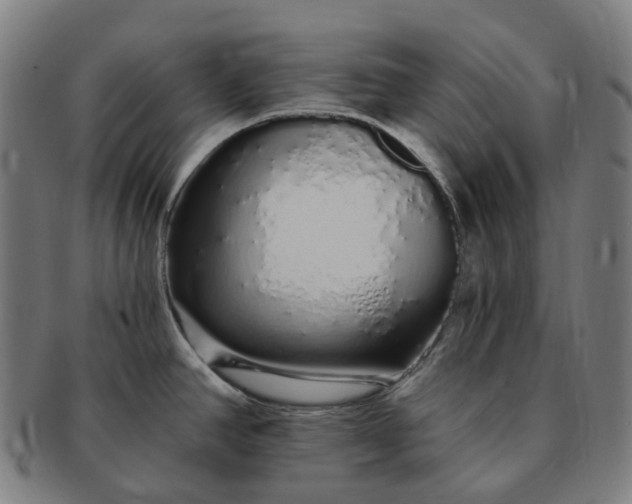 X0000091311390200708241104