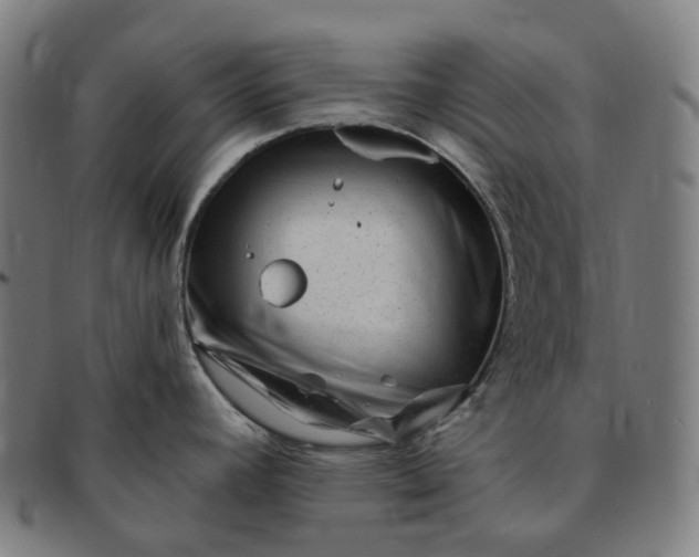 X0000091311392200708241104