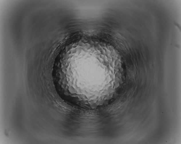 X0000091311393200708241103