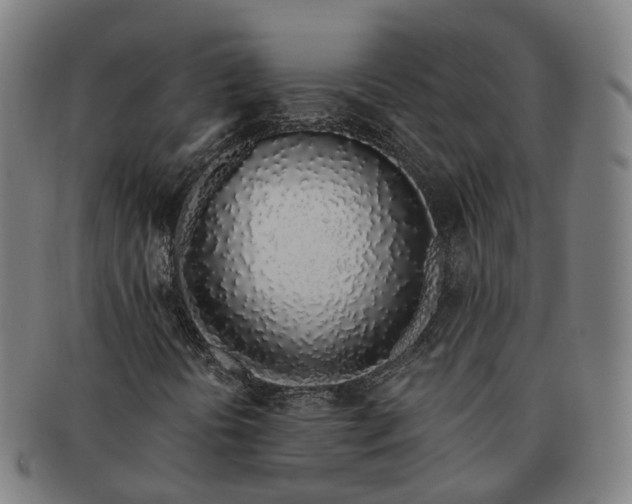 X0000091311394200708241103