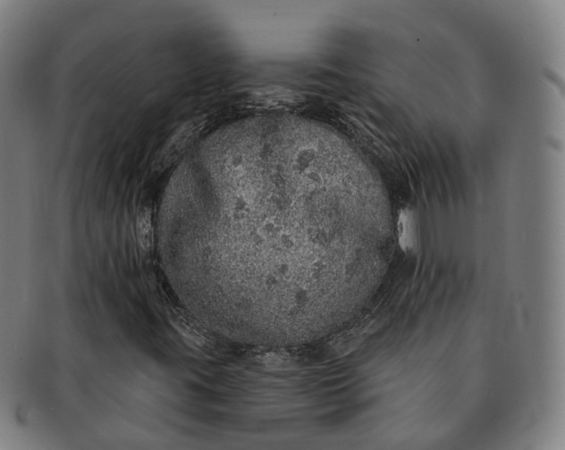 X0000091311395200708241103