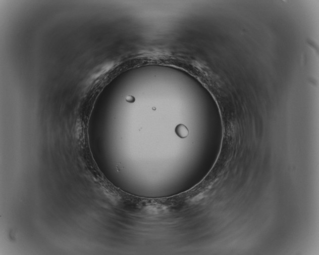 X0000091311398200708241103