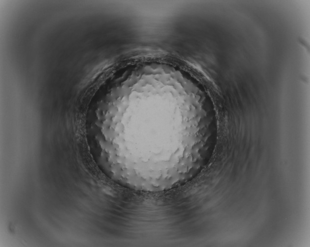 X0000091311399200708241103