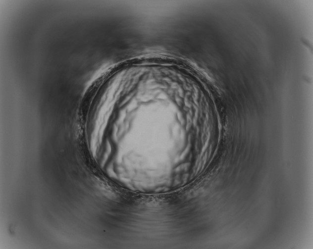 X0000091311400200708241103