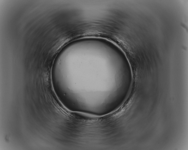 X0000091311401200708241103