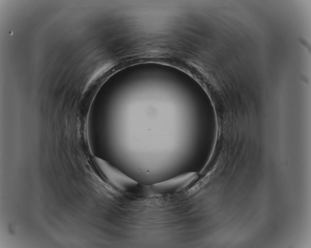 X0000091311402200708241103