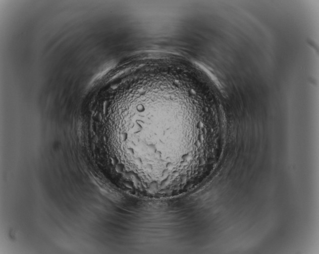 X0000091311403200708241103