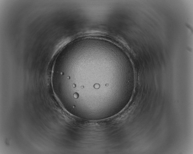 X0000091311405200708241103