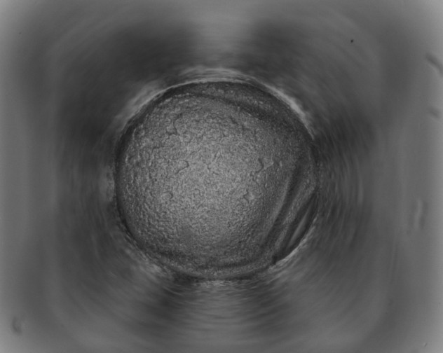 X0000091311407200708241103