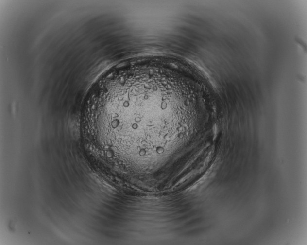 X0000091311409200708241103