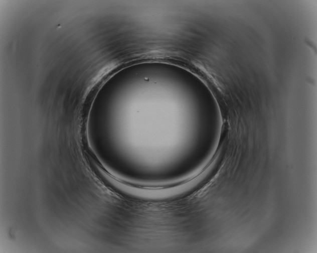 X0000091311410200708241103