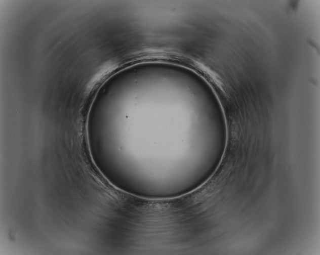 X0000091311411200708241103