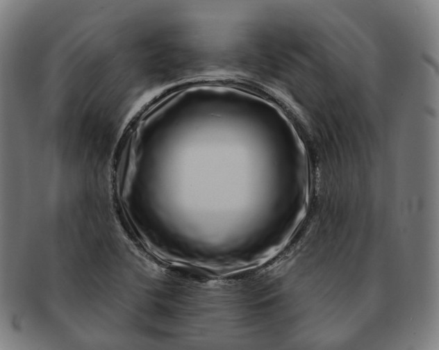 X0000091311412200708241103