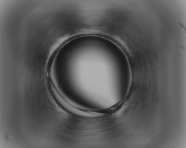 X0000091311414200708241103