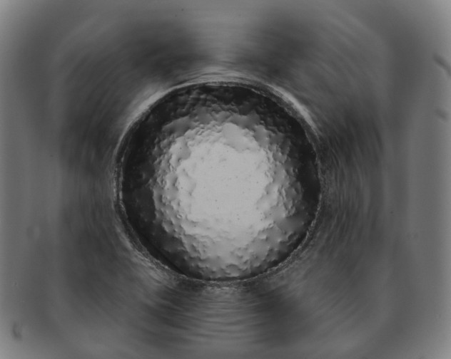 X0000091311415200708241103