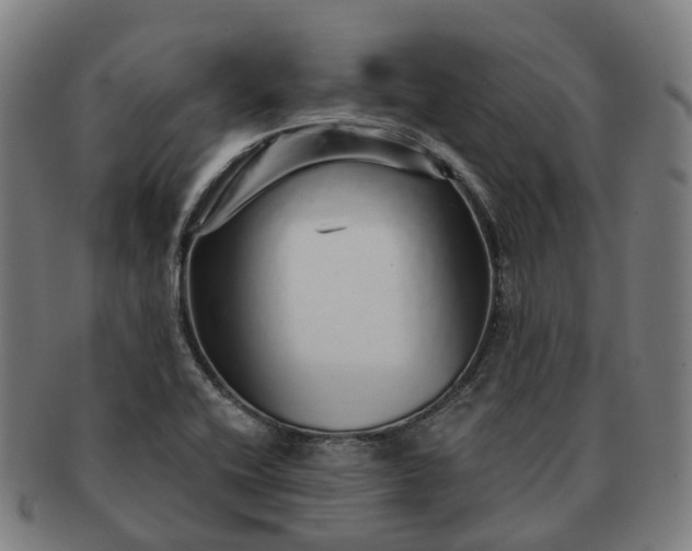 X0000091311416200708241103