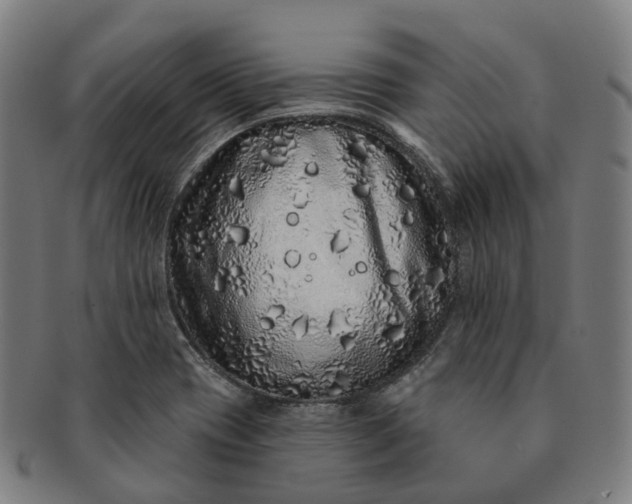 X0000091311417200708241103