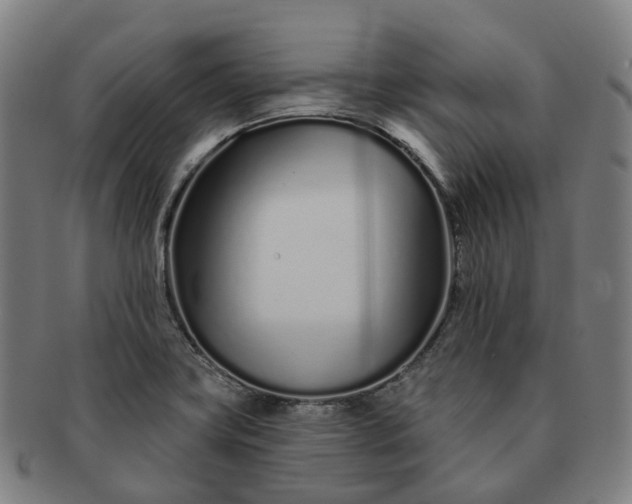 X0000091311419200708241103