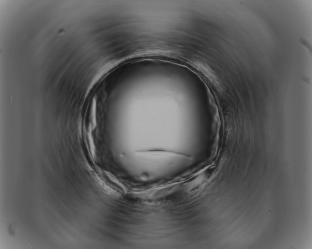 X0000091311420200708241103