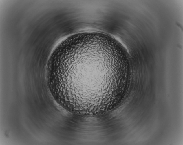 X0000091311421200708241103