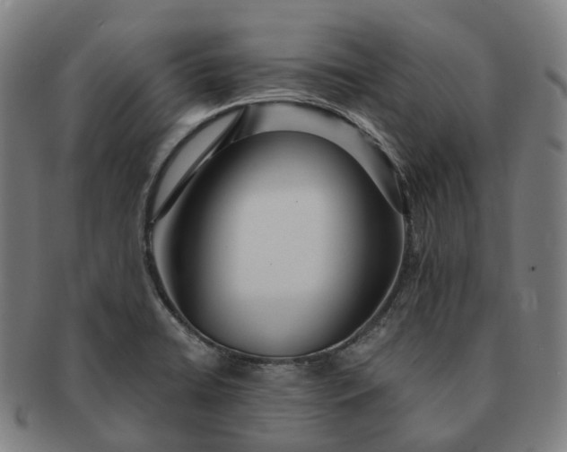 X0000091311422200708241103