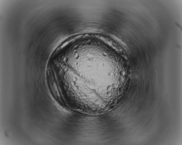 X0000091311423200708241103