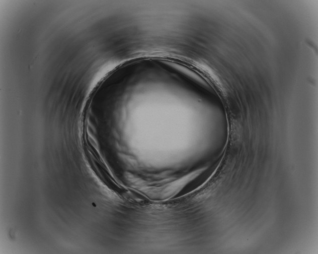 X0000091311424200708241103