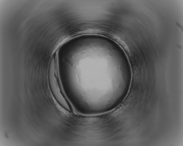 X0000091311425200708241103