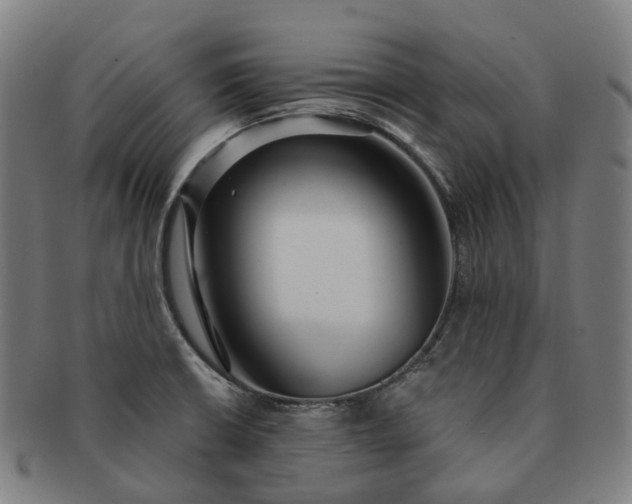 X0000091311426200708241103