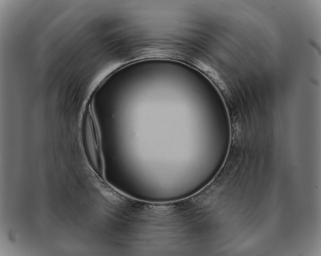 X0000091311427200708241103