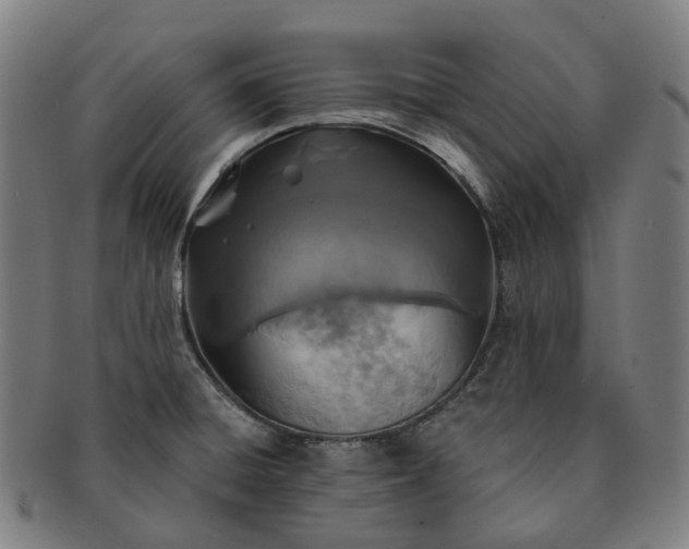 X0000091311428200708241103