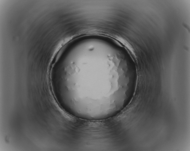 X0000091311429200708241103