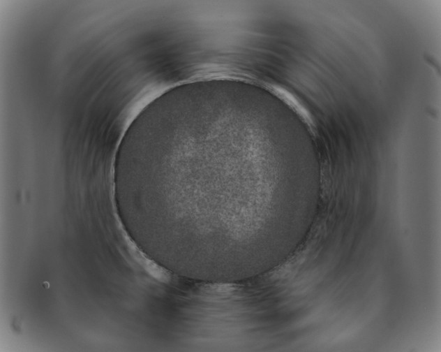 X0000091311431200708241103