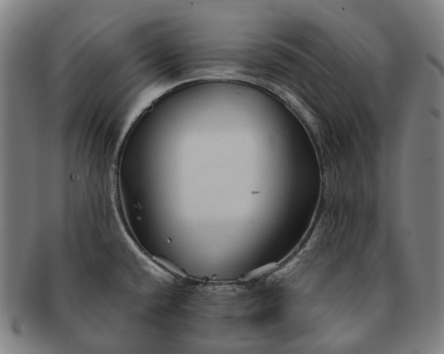 X0000091311432200708241103