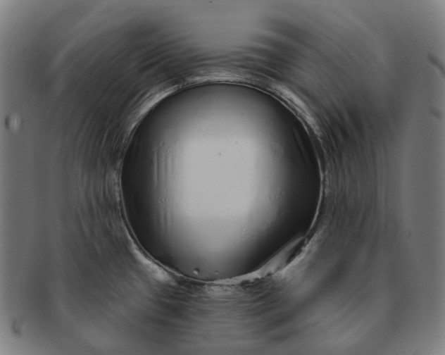 X0000091311433200708241103