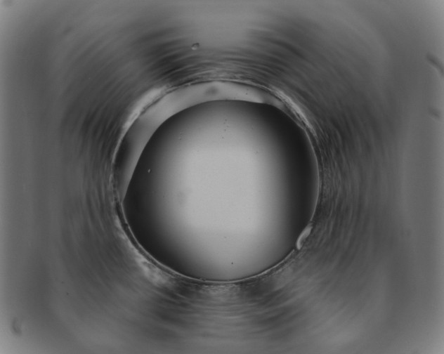 X0000091311434200708241103