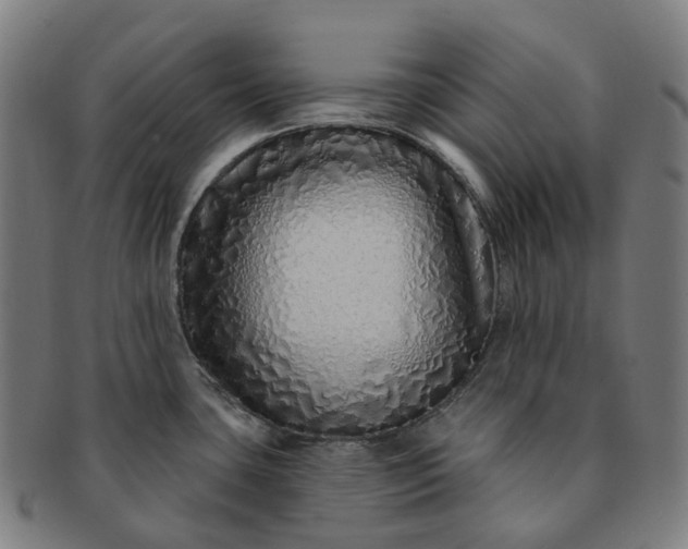 X0000091311435200708241103