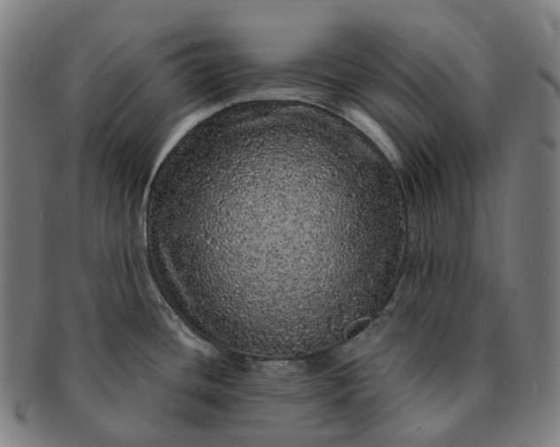 X0000091311436200708241103