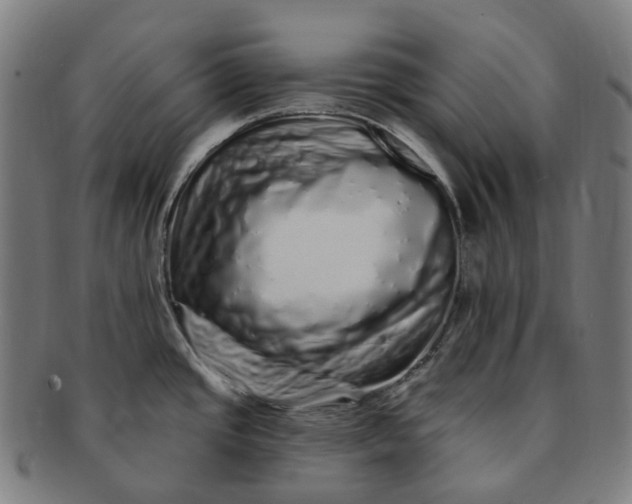 X0000091311437200708241103