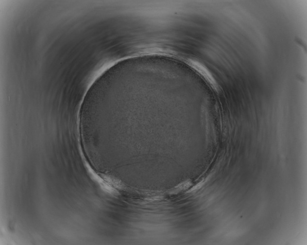 X0000091311439200708241104