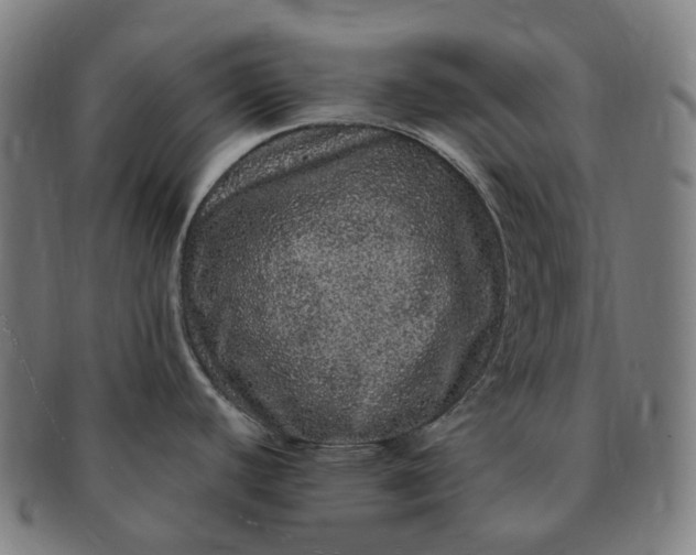 X0000091311440200708241104