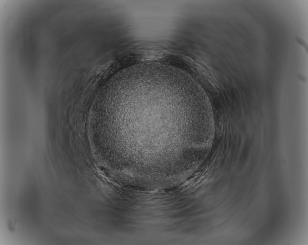 X0000091311441200708241103