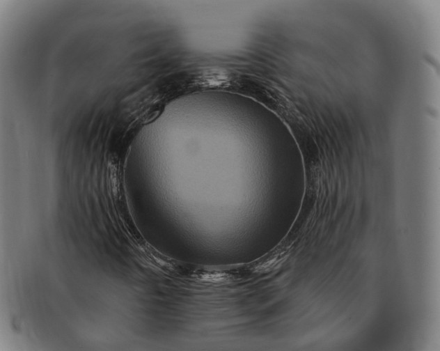 X0000091311442200708241103